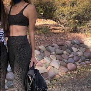 Alo Yoga Leopard Print Sports Bra and Leggings Set